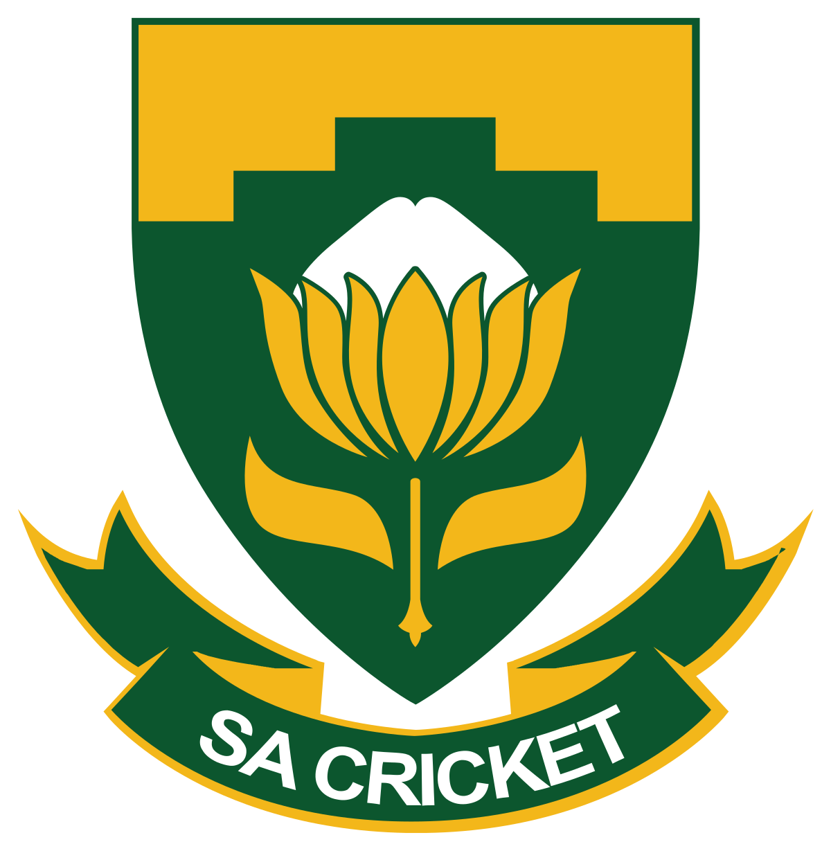 south africa team logo